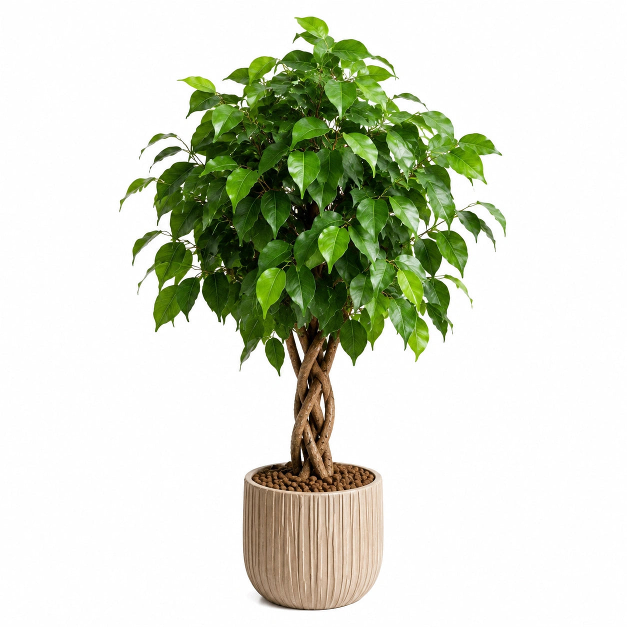 Plante artificielle ficus 180 cm feuillage plastique vert décoration intérieure réaliste