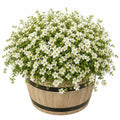 Plante artificielle fleurie 45 cm blanc vert en textile et plastique avec pot décoratif style rustique